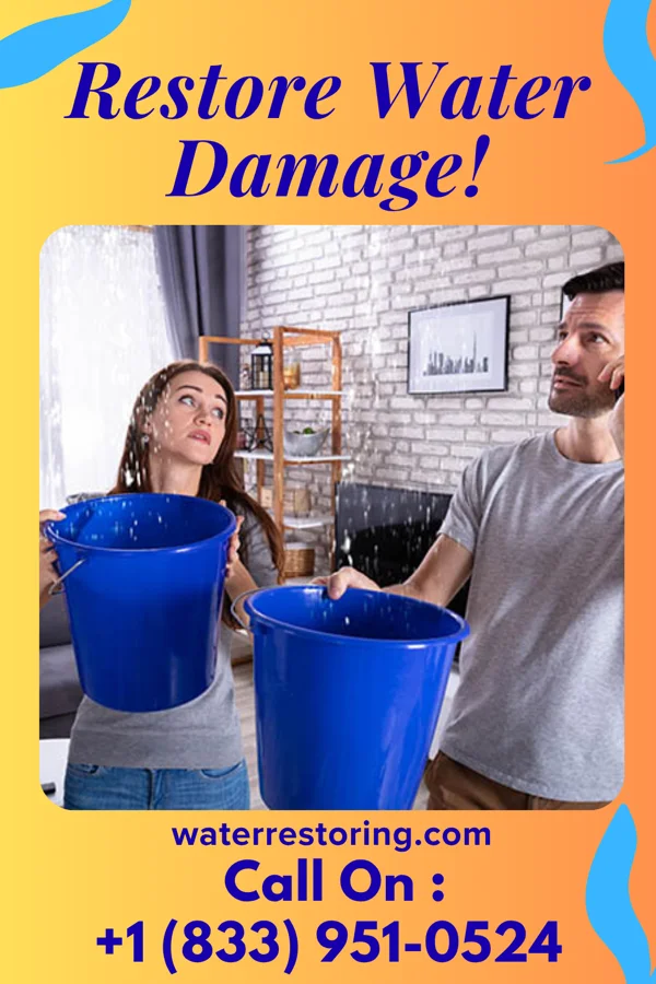 water restoration Lightning Flood Damage Specialists Charleston