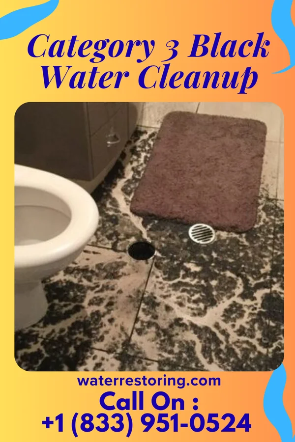 Category 3 Black Water Cleanup in Charleston, TN