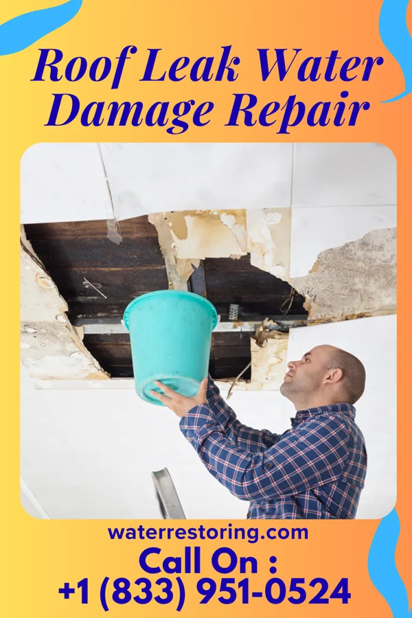 Roof Leak Water Damage Repair in Charleston, TN