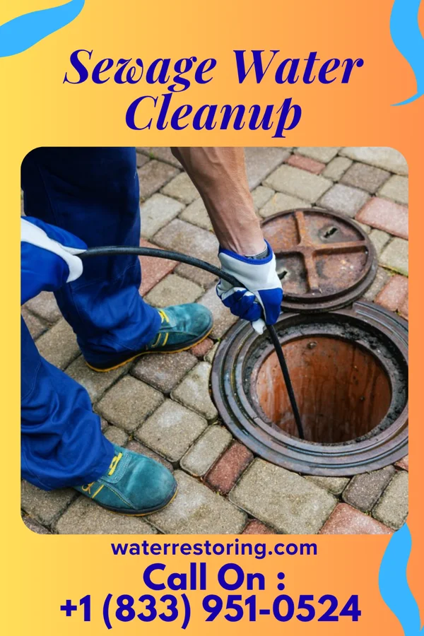 Sewage Water Cleanup in Charleston, TN