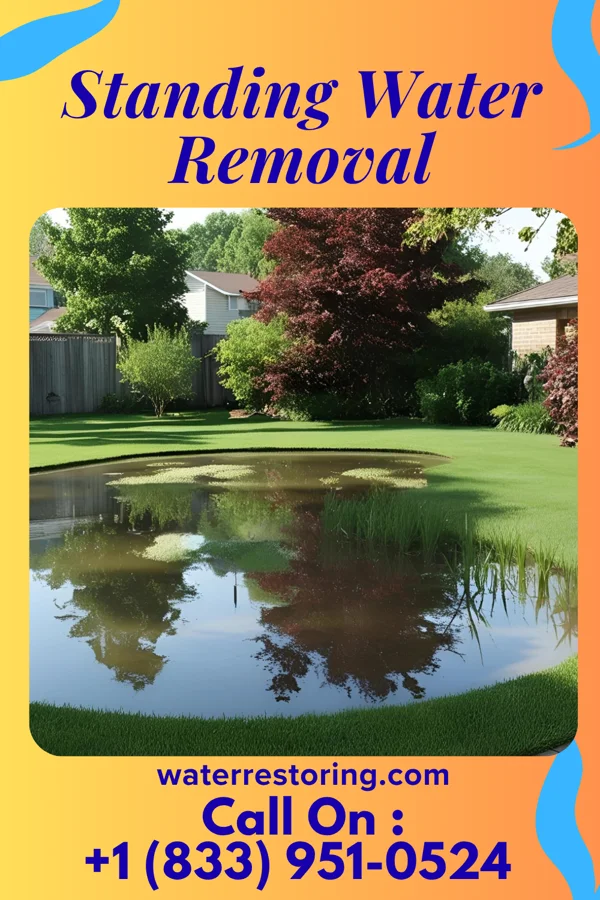 Standing Water Removal in Charleston, TN
